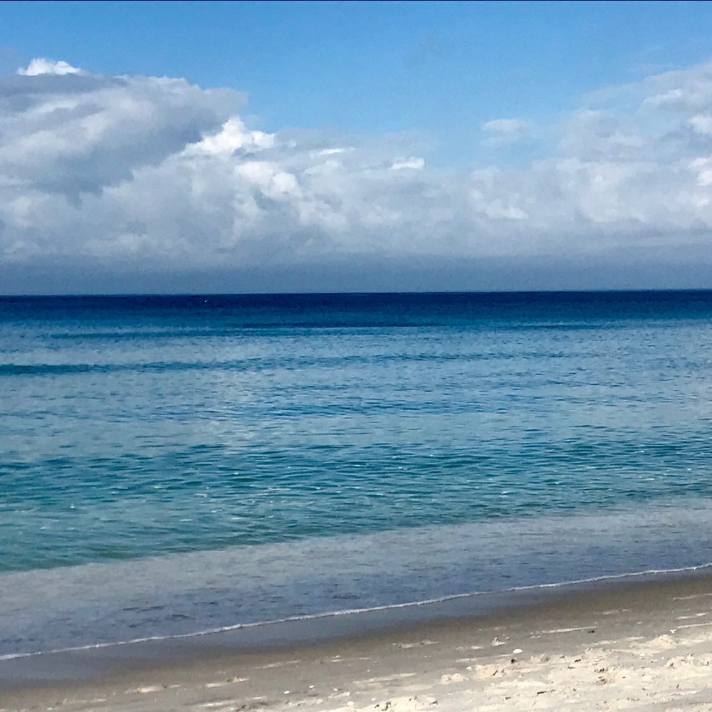 Meet your Posher, Dawn